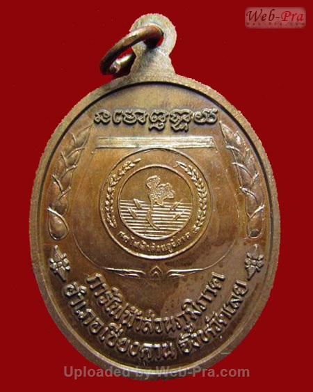 ปี 2545 เหรียญรุ่น 11 หลวงปู่ท่อน ญาณธโร วัดศรีอภัยวัน ต.นาอ้อ อ.เมือง จ.เลย (เนื้อทองแดง)