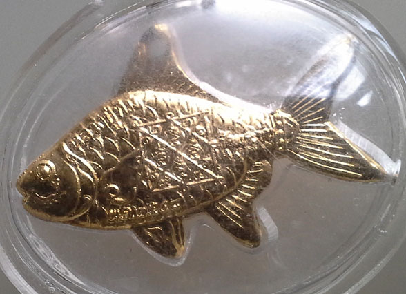 ปลาตะเพียนเงิน ตะเพียนทอง จากอยุธยา หลวงปู่ทิมวัดพระขาว 