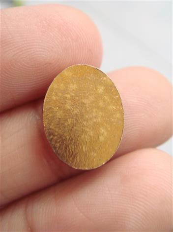 เหรียญหัวแหวน หลวงปู่ทวด กะไหล่ทอง ปี 08 สวยๆครับ (เคาะเดียว) 290 บาท