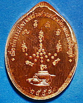 เหรียญ หลวงปู่จื่อ พันธมุตโต รุ่นประวัติศาสตร์ไตรภาคีฯ ทองแดงผิวไฟ ปี 58 สวยแชมป์ (เคาะเดียว)