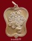 เหรียญแปดเซียนรูปพัดจีน พระอาจารย์อิฐฏ์ วัดจุฬามณี เนื้อทองแดง สวยๆราคาเบาๆ (7)