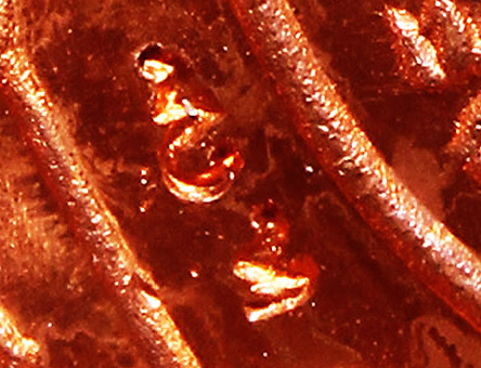 เต่าปลดหนี้ ปี 36 เนื้อทองแดง โค้ดยาว ส้มจี๊ดผิวกระจก สวยจัดครับ - 5