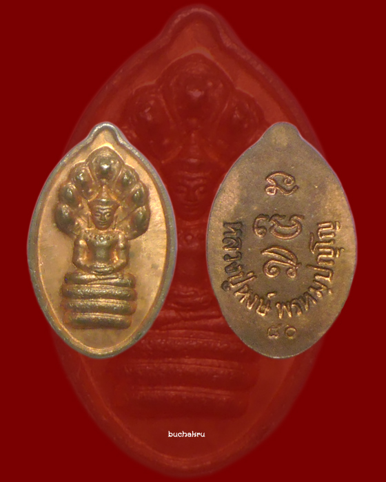 ปรกเม็ดฟักทอง (บล็อกแตก) เนื้อทองแดง รุ่นฉลองชัย ปี 2541 หลวงปู่หงษ์ พรหมปัญโญ  - 1