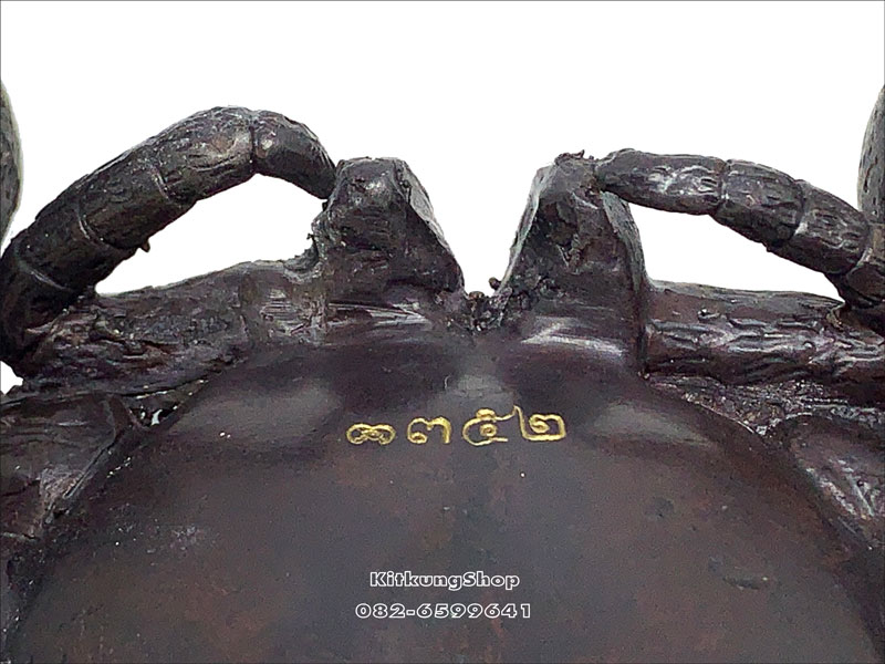 พระบูชา "หลวงปู่สุภา นั่งแมงมุมเรียกทรัพย์" ปี ๒๕๕๕ - 5