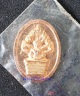 เหรียญนาคปรก สำนักสงฆ์ วัดถ้ำศิลาวรรณ เนื้อทองแดง เหรียญขนาดเล็ก 