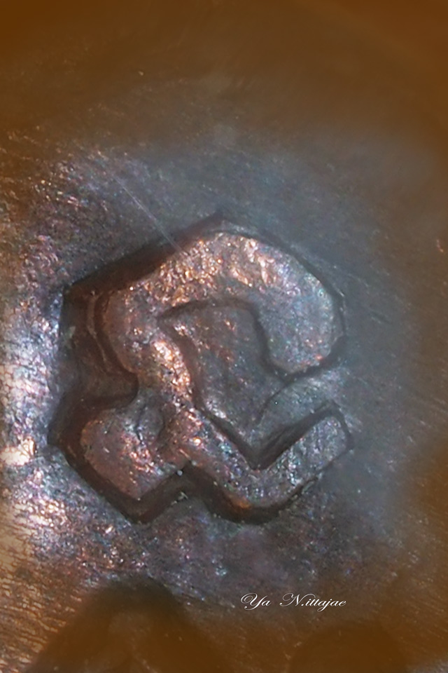 เหรียญพญาเต่าเรือน รวมพุทธคุณ หลวงปู่หลิว วัดไร่แตงทอง ปี 2538 - 4