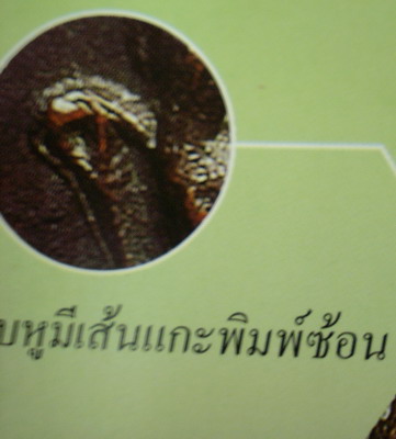 เหรียญรุ่นแรกหลวงปู่ดูลย์ 2508