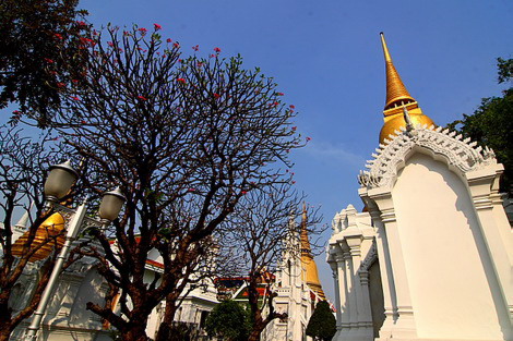 อนุสาวรีย์พระเจดีย์สีทอง ๔ องค์ มีลักษณะคล้ายกัน เรียงลำดับจากเหนือไปใต้  ได้แก่ สุนันทานุสาวรีย์, รังษีวัฒนา, เสาวภาประดิษฐาน และสุขุมาลย์นฤมิตร  ซึ่งรัชกาลที่ ๕ ทรงสร้างอุทิศพระราชทานแก่พระมเหสีเทวี ๔ พระองค์