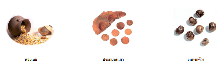 เงินตราประเทศไทย