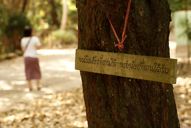 สวนโมกขพลาราม วัดธารน้ำไหล