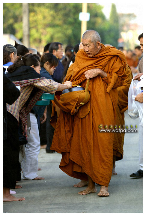  พระครูสิริธรรมวัฒน์ (พระอาจารย์ทองพูล สิริกาโม)