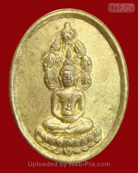 ปี 2534 เหรียญปรกใบมะขาม หรือ เม็ดแตง หลวงปู่เทสก์ เทสรํสี (เนื้อฝาบาตร)