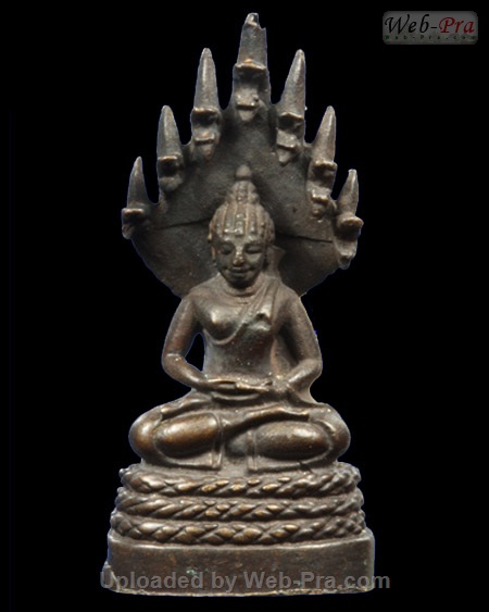 ปี 2523 พระนาคปรก หลวงปู่โต๊ะ (1.เนื้อนวโลหะ)
