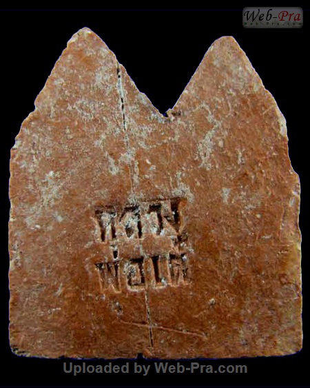 ปี ? พระพลายคู่ หลวงพ่อเต๋ คงทอง (1.เนื้อดิน)
