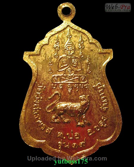 ปี ? เหรียญ รุ่นพิเศษ กองบิน ทร. หลวงพ่อคง วัดวังสรรพรส (3.หลังเสือ ลงยา)