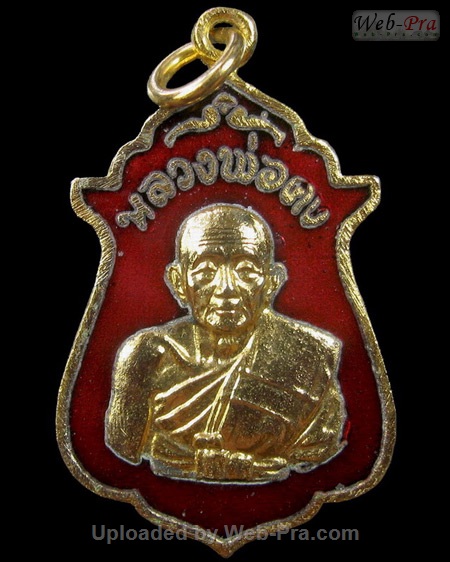 ปี ? เหรียญ รุ่นพิเศษ กองบิน ทร. หลวงพ่อคง วัดวังสรรพรส (3.หลังเสือ ลงยา)