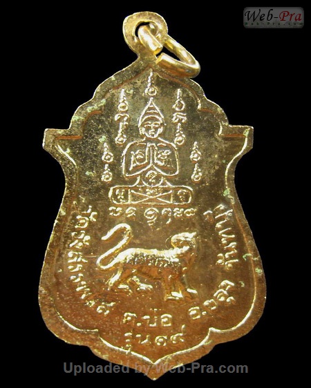 ปี ? เหรียญ รุ่นพิเศษ กองบิน ทร. หลวงพ่อคง วัดวังสรรพรส (3.หลังเสือ ลงยา)