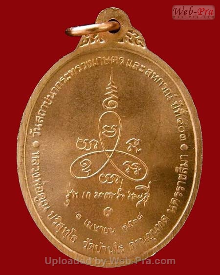 ปี 2538 เหรียญเกษตรร่ำรวย หลวงพ่อคูณ ปริสุทโธ วัดบ้านไร่ (3.เนื้อทองแดง)
