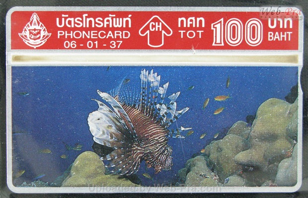 ปี 2537 ชุดบัตร ปลาทะเล บัตรโทรศัพท์ไทย (-)