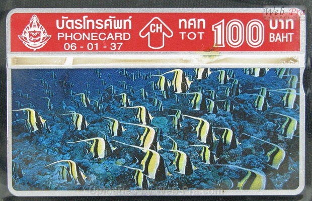 ปี 2537 ชุดบัตร ปลาทะเล บัตรโทรศัพท์ไทย (-)