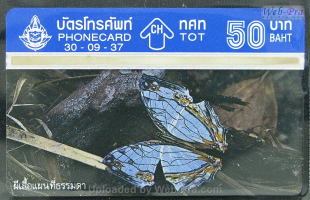 ปี 2537 ชุดบัตร ผีเสื้อ บัตรโทรศัพท์ไทย (-)
