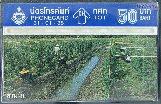 ปี 2538 ชุดบัตร เกษตรกรรมไทย บัตรโทรศัพท์ไทย (-)
