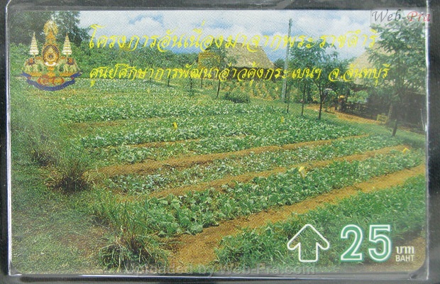 ปี 2539 ชุดบัตร โครงการอันเนื่องมาจากพระราชดำริ3 บัตรโทรศัพท์ไทย (-)