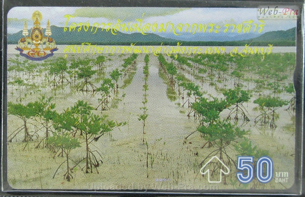 ปี 2539 ชุดบัตร โครงการอันเนื่องมาจากพระราชดำริ3 บัตรโทรศัพท์ไทย (-)