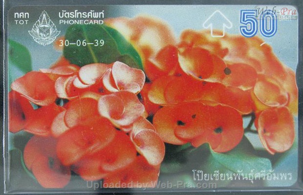 ปี 2539 ชุดบัตร โป๊ยเซียน บัตรโทรศัพท์ไทย (-)