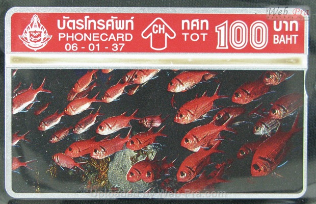 ปี 2537 ชุดบัตร ปลาทะเล บัตรโทรศัพท์ไทย (-)