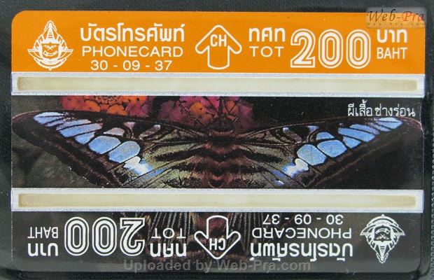 ปี 2537 ชุดบัตร ผีเสื้อ บัตรโทรศัพท์ไทย (-)