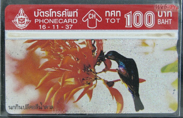 ปี 2537 ชุดบัตร นก บัตรโทรศัพท์ไทย (-)