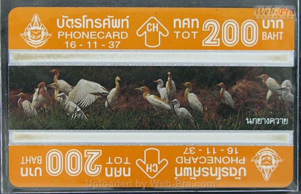 ปี 2537 ชุดบัตร นก บัตรโทรศัพท์ไทย (-)