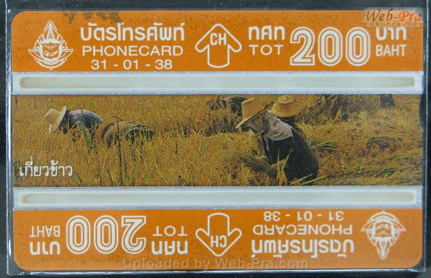 ปี 2538 ชุดบัตร เกษตรกรรมไทย บัตรโทรศัพท์ไทย (-)