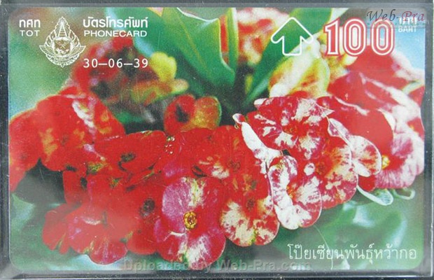 ปี 2539 ชุดบัตร โป๊ยเซียน บัตรโทรศัพท์ไทย (-)
