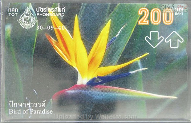 ปี 2540 ชุดบัตร ดอกไม้ บัตรโทรศัพท์ไทย (-)