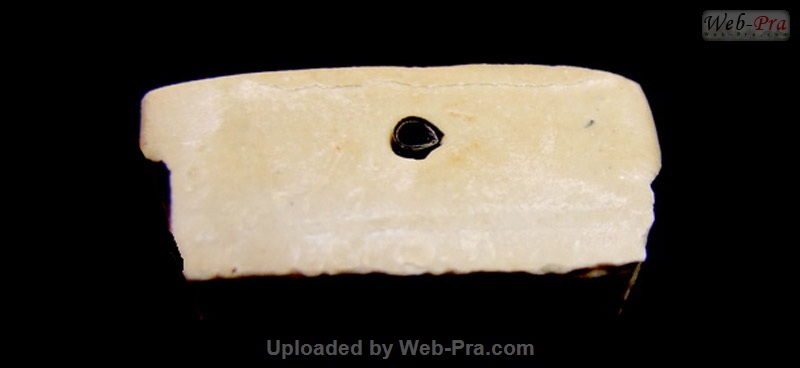ปี 2521-2523 พระผงรูปเหมือน หลวงปู่โต๊ะ (3.เนื้อเกสร)