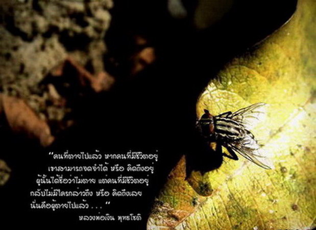 ขอแสดงความเสียใจกับครอบครัว พลเยี่ยม ที่ได้สูญเสียหัวห้าครอบครัวคือ คุณ จักรพล พลเยี่ยม หรือ อู๊ดโพน