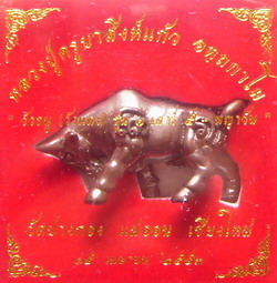 แนะนำวัตถุมงคลหลวงปู่ครูบาสิงห์แก้ว วัดปางกอง อ.แม่ออน จ.เชียงใหม่ 4