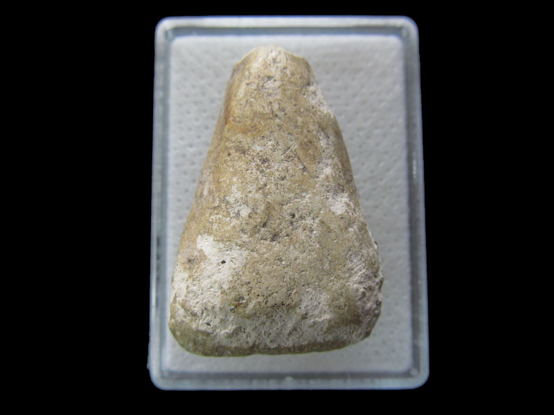 พระพิมพ์นางพญาผงขาว ลงกรุ ไม่ทราบที่ครับ พระเกจิ..เริ่ม20บาท/.S.121