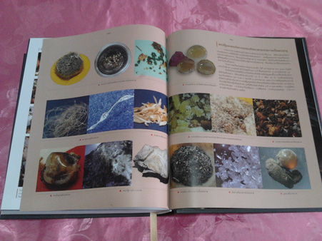 หนังสือ ญาณสัมปันนธัมมานุสรณ์