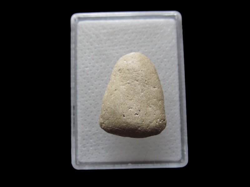 พระปิดตาเนื้อผงขาว ไม่ทราบที่ครับ...เริ่ม20บาท/.F.23