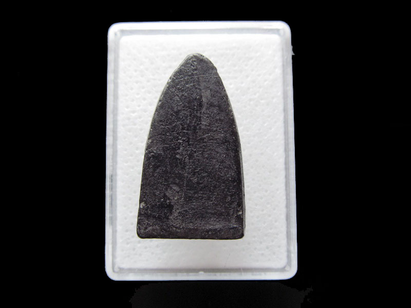 พระหลวงพ่อทวด เนื้อดำ ไม่ทราบที่ครับ...เริ่ม20บาท/.F.24