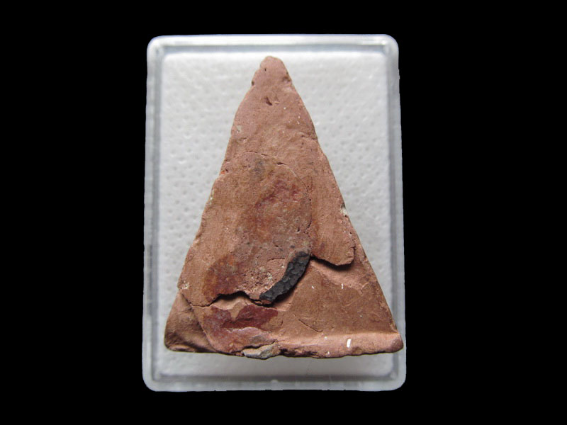 พระพิมพ์นางพญาเนื้อดิน ไม่ทราบวัดครับ..เริ่ม20บาท/.F.63