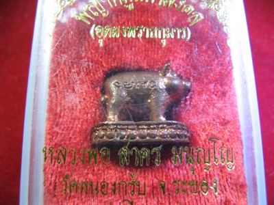 หมูมหาลาภ ปี38 บวก พญาหมูมหามงคล ปี41 หลวงพ่อสาคร วัดหนองกรับ