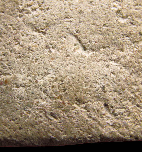 พระพิมพ์หลวงพ่อโต เนื้อผงขาว ไม่ทราบวัดครับ..เริ่ม20บาท/.SP.46