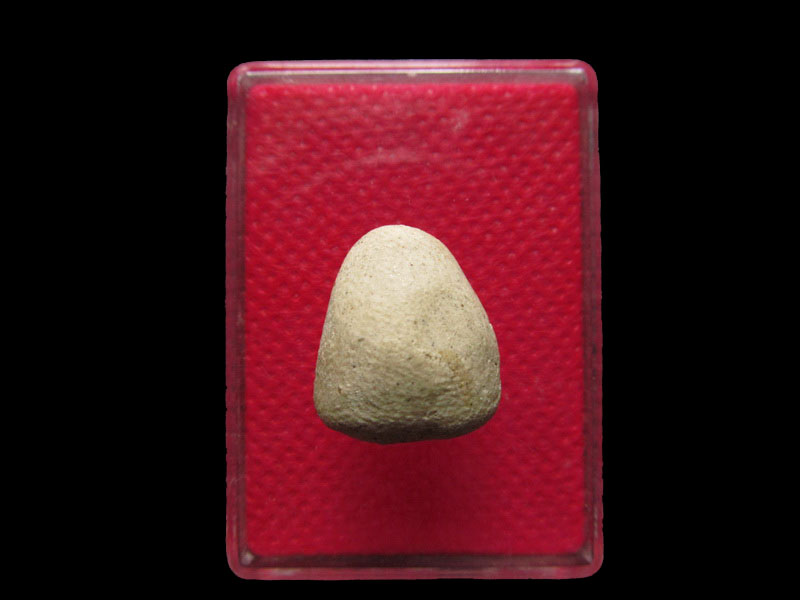 พระปิดตาเนื้อขาว หลังเบี้ย ไม่ทราบที่ครับ.เริ่ม20บาท/.Mi.33