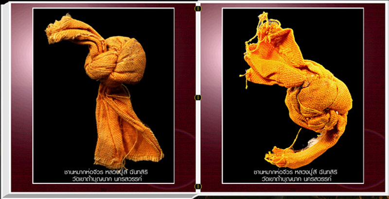 สารานุกรมภาพวัตถุมงคลหลวงปู่สี 750 ภาพ (E-BOOK)