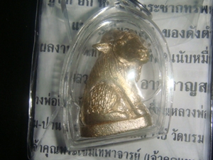 แพะเหลียวหลัง หลวงปู่อาด เนื้อนวะ ตะกรุดคู่