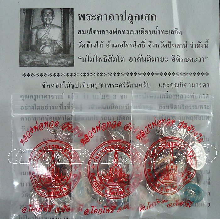 ** เม็ดแตง ** หลวงปู่ทวดหลังหลวงพ่อทิม ชุบนิเกิ้ล ปี๕๕ วัดช้างให้ จ.ปัตตานี เคาะเดียว